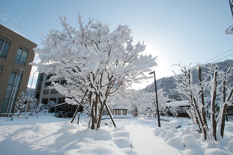 1月26日朝、当院西玄関にて