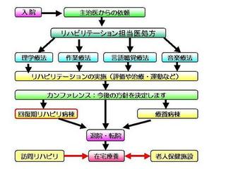 リハビリテーションの進み方